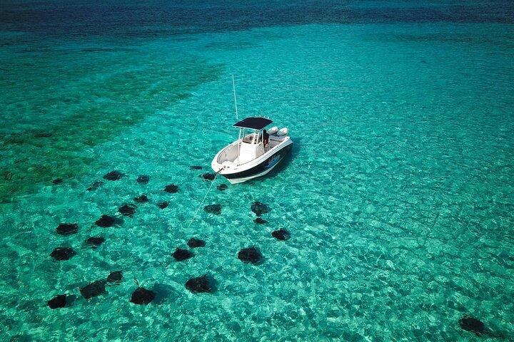 Grand Cayman Private Charter Stingray City, Snorkeling & Starfish