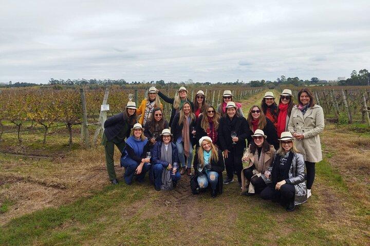 Traditional and award-winning winery tour in Montevideo