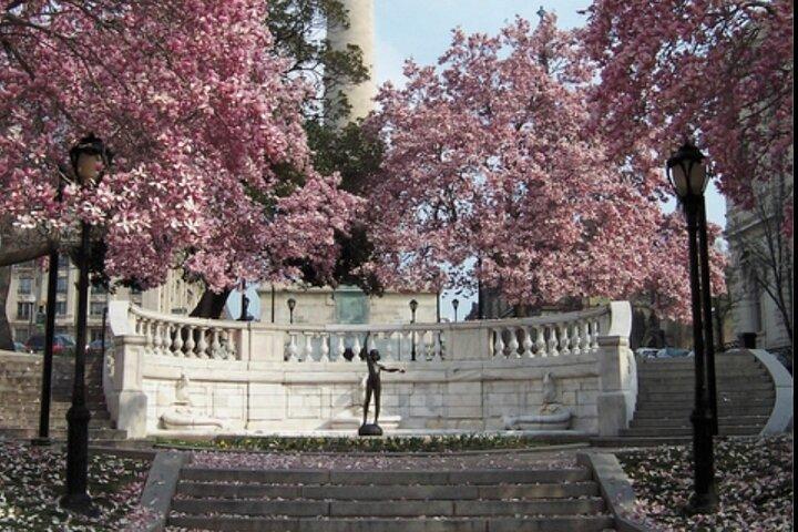 Mount Vernon and The Millionaires, 2 hour walking tour