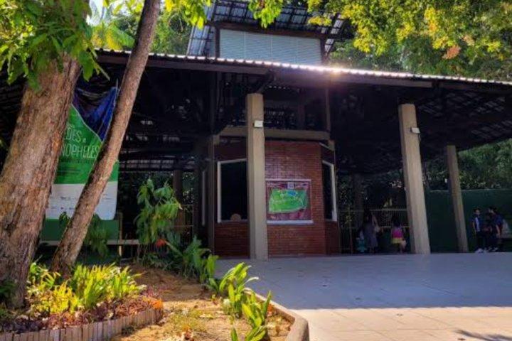 Private Tour in the Science Forest in Manaus