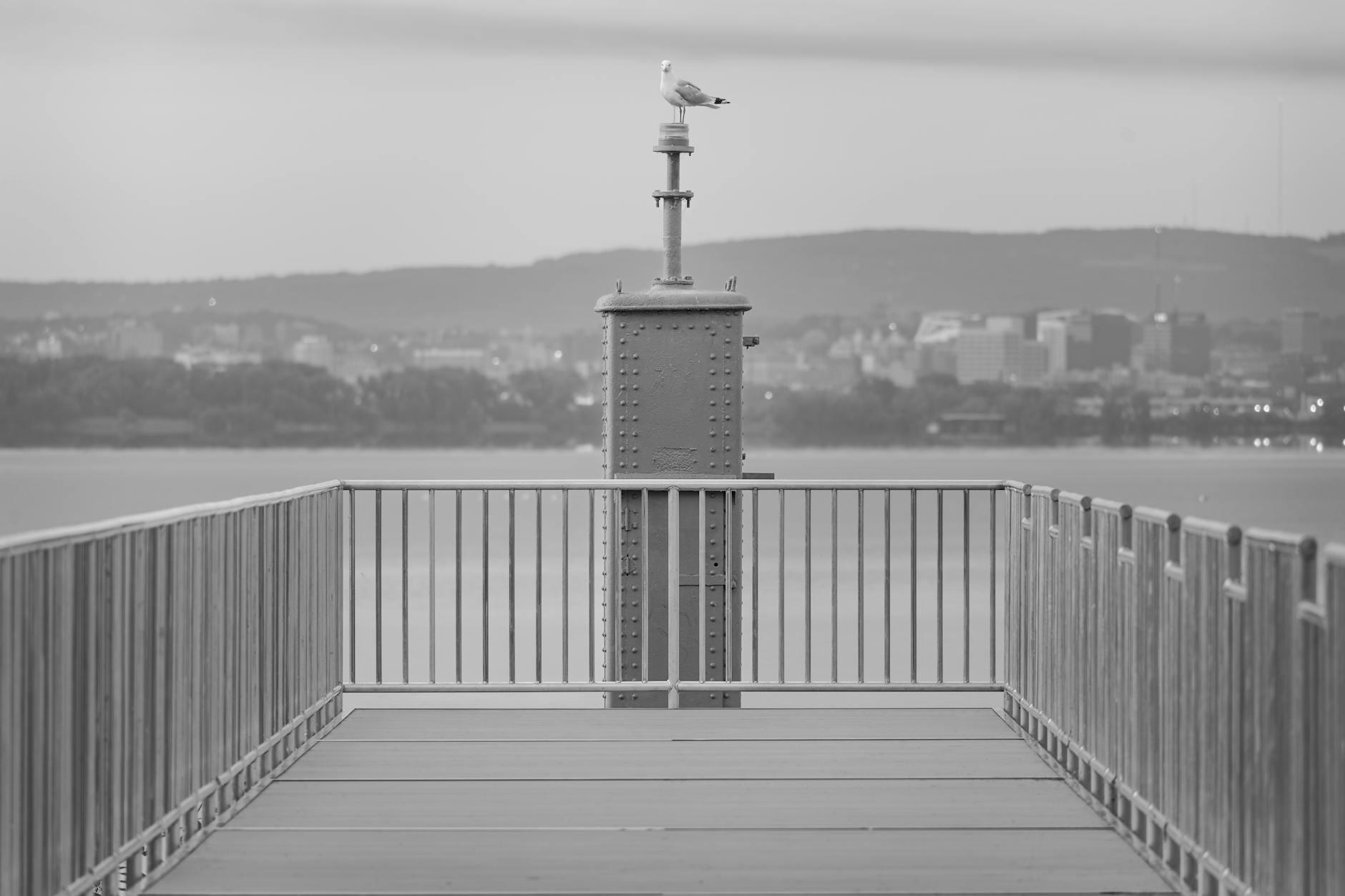Syracuse skyline